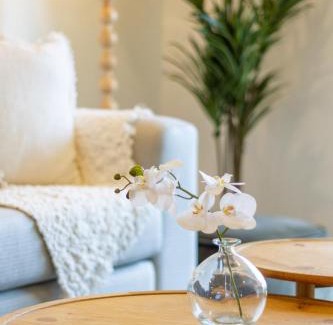 Christchurch City Centre Apartamento | Vibrant Central Christchurch Pad 2 bed 1 bath with park