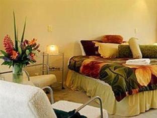 Hanmer Springs Cama Y Desayuno | Vibrant Living Retreat