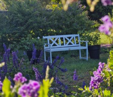 Greenmount Cama Y Desayuno | Vibrant & Vintage B & B