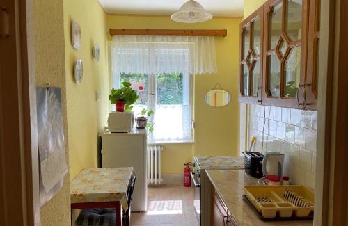 Tiszaujvaros Apartamento | Vica Apartman