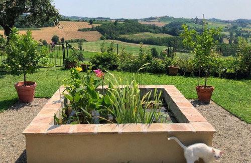 Alfiano Natta Casa | CASCINA EN VIVERO DE ROSAS ANTIGUAS