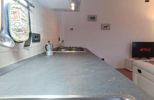 Treppo Carnico Apartamento | Vicino Zoncolan+Netflix e Wifi