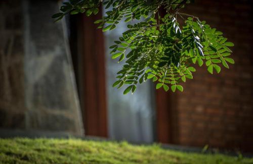 Digana Chalet De Esquí | Victoria Golf Resort