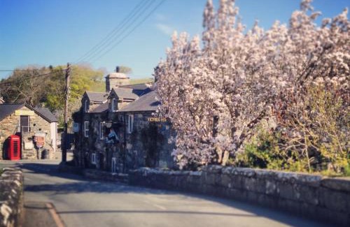 Llanbedr Hotel | Victoria Inn
