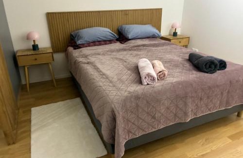 Zizkov Apartamento | Victoria Prague city centre