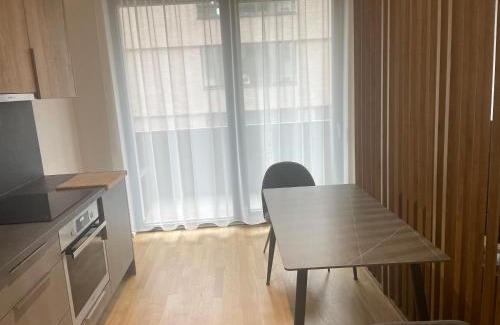 Zizkov Apartamento | Victoria Prague city centre