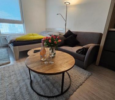 Trencin Apartamento | Victory apartment