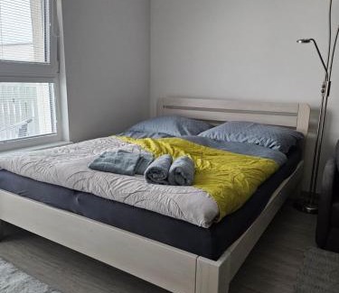 Trencin Apartamento | Victory apartment