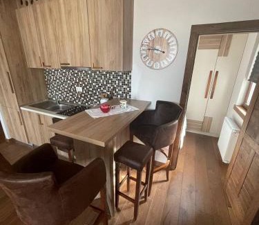 Lisina Apartamento | Vidik Kopaonik