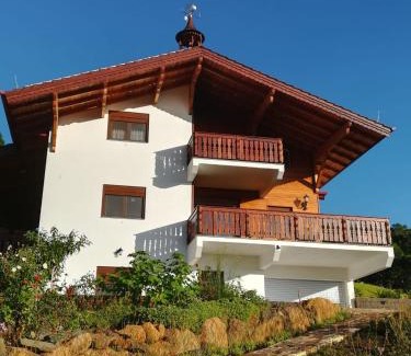 Treze Tilias Apartamento | Viena Hospedaria