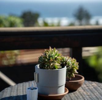 Pichilemu Cabina | Viento Sur Pichilemu Lodges