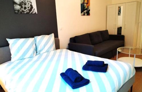 Vierzon Apartamento | Vierzon Centre - joli T2- balnéo- wifi