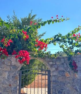 Koutsoupia Casa | View δύο υπνοδωματιων