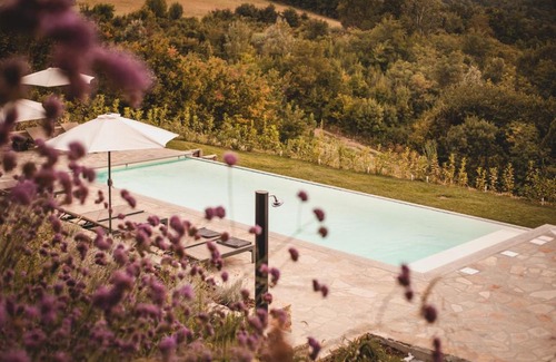 Rocchetta Palafea Casa | Vigna Rocchetta