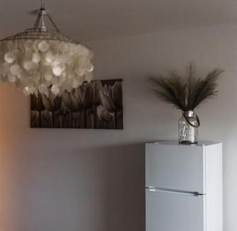 Jamsa Apartamento | Viihtyisä yksiö lähellä palveluita. (Himos 7,9 km)