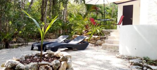 Tulum City Center Casa | Viila Ixchel jungle pool