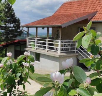 Mladenovac Casa | Vikend house