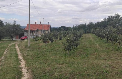 Mladenovac Casa | Vikend house