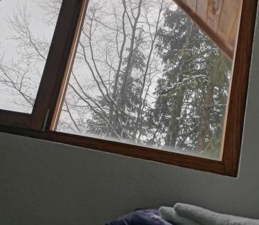 Kopaonik Cabina | Vikendica Čeperković #3
