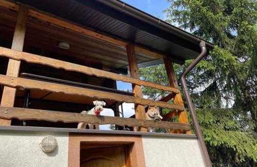 Divcibare Casa | Vikendica Boki i Maki