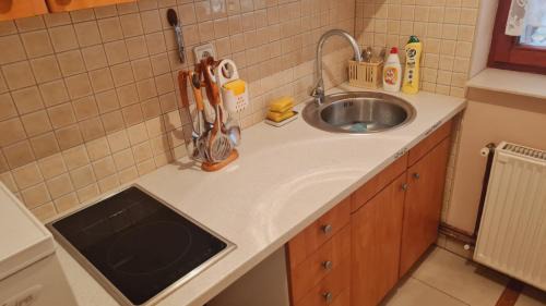 Veliko Gradiste Apartamento | Vikendica Forest