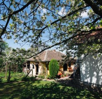 Central Serbia Casa | Vikendica Ilic - Petrovac na Mlavi