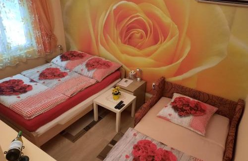 Novi Sad Casa | Vikendica Jasmina, Novi Sad, Fruška gora, Ledinci