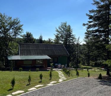 Mionica Casa | Vikendica Marković