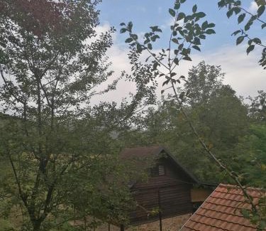 Ljubovija Casa | Vikendica na Drini DRINSKI ODMOR