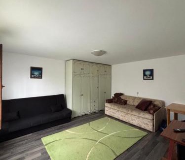 Petrovaradin Villa | Vikendica S, Alibegovac