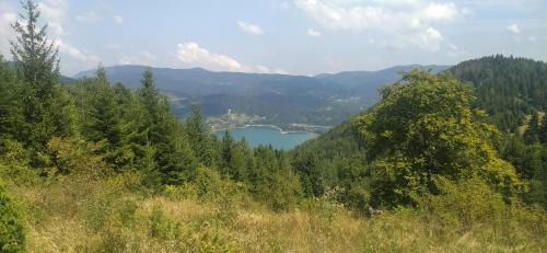 Tara National Park Casa | Vikendica Studenac