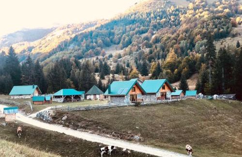 Montenegro Casa | Vikendice Suvo Do