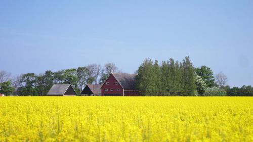 Viken Cama Y Desayuno | Vikens bed and Breakfast
