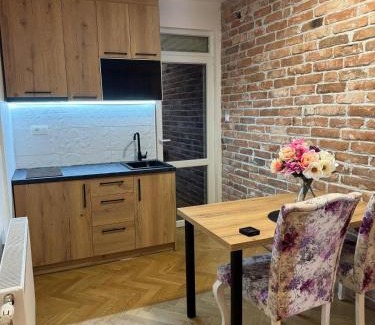 Soko Banja Apartamento | Viktor Lux Apartmani 6