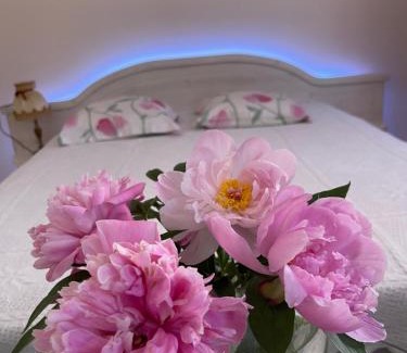 Rakvere Apartamento | Viktoria Apartament