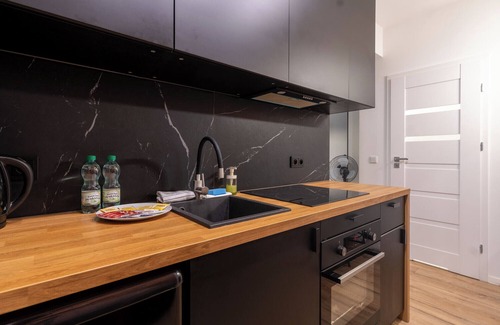 Katowice Apartamento | Viktoria IV Charming Apartament
