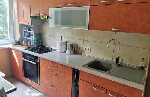 Panevezys Apartamento | Viktorijos Apartamentai - Erdvus 2 kambarių butas