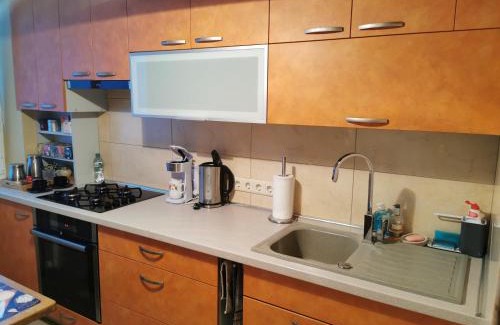 Panevezys Apartamento | Viktorijos Apartamentai - Erdvus 2 kambarių butas