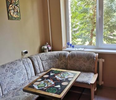 Panevezys Apartamento | Viktorijos Apartamentai - Erdvus 2 kambarių butas