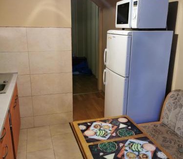 Panevezys Apartamento | Viktorijos Apartamentai - Erdvus 2 kambarių butas