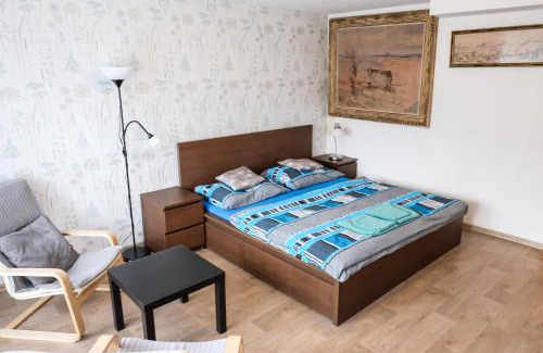 Luhacovice Apartamento | Vila Alice