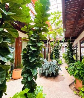 Mucuge Apartamento | Vila Andorinha