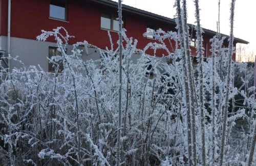 Vysoke Tatry Apartamento | Vila Anna