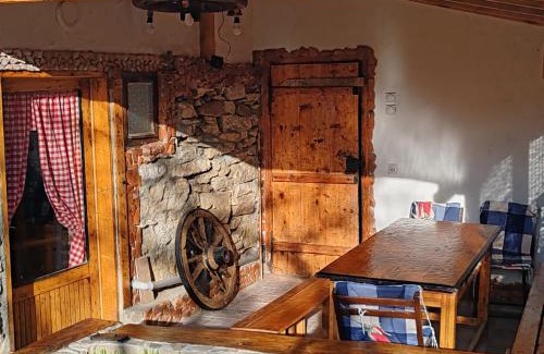 Stara Planina Casa | Vila Antić