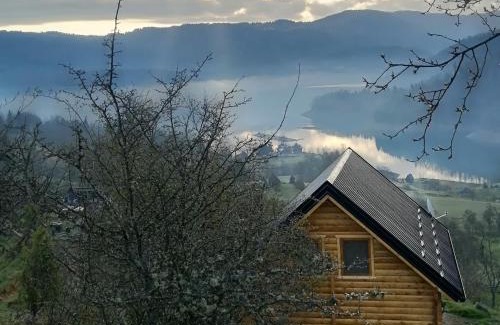 Bajina Basta Chalet De Esquí | Vila Bella, Tara, Zaovinsko jezero