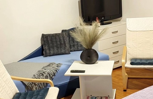 Vrnjacka Banja Apartamento | vila 'BIKICA'