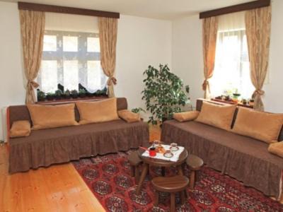 Stara Planina Cabina | Vila Bogdanovic