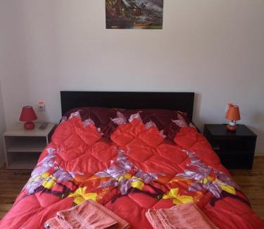 Stara Planina Casa | VILA BOJANA