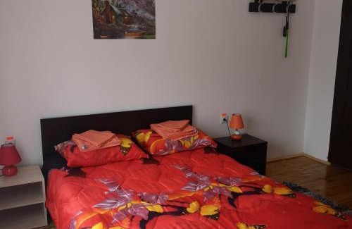 Stara Planina Casa | VILA BOJANA