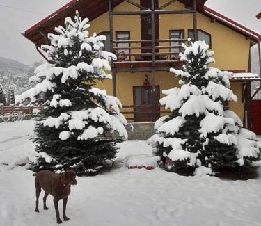 Intorsura Buzaului Casa | Vila Coman